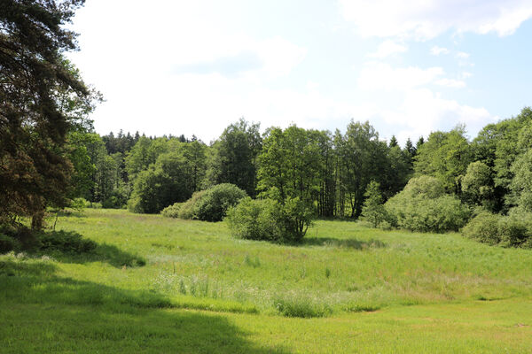 Krucemburk, Hluboká, 11.6.2023
Meandry Doubravy.
Klíčová slova: Krucemburk Hluboká meandry Doubravy