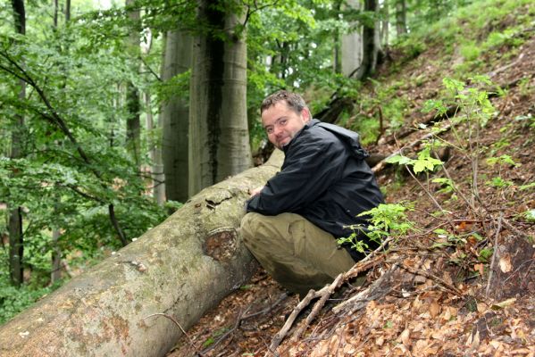 Szentendre, 27.6.2013
Pilišské vrchy – Sztaravoda env. Kolega Jan Pelikán a biotop dřevomila Otho spondyloides.


Keywords: Szentendre Pilis hills Sztara voda Otho spondyloides Jan Pelikán.