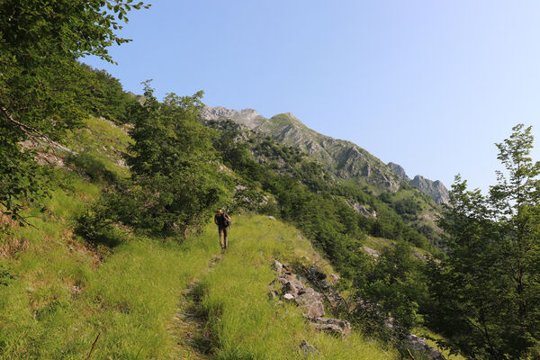 Toscana, Vagli Sotto, Alpi Apuane, 18.6.2023
Cesta z Valle d'Arnetola na Monte Tambura.
Schlüsselwörter: Toscana Vagli Sotto Alpi Apuane Monte Tambura Václav Dušánek