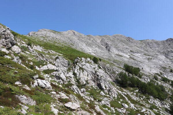 Toscana, Vagli Sotto, Alpi Apuane, 18.6.2023
Cesta z Valle d'Arnetola na Monte Tambura.
Klíčová slova: Toscana Vagli Sotto Alpi Apuane Monte Tambura