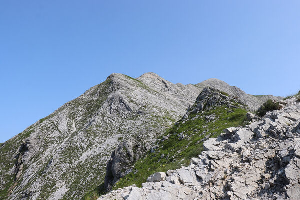 Toscana, Vagli Sotto, Alpi Apuane, 18.6.2023
Passo della Tambura (1622 m).
Keywords: Toscana Vagli Sotto Alpi Apuane Monte Tambura Anostirus marginatus