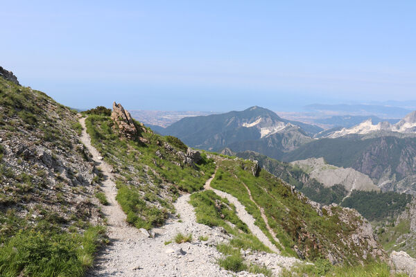 Toscana, Vagli Sotto, Alpi Apuane, 18.6.2023
Passo della Tambura (1622 m).
Schlüsselwörter: Toscana Vagli Sotto Alpi Apuane Monte Tambura Anostirus marginatus