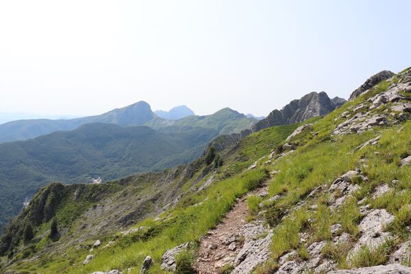 Toscana, Vagli Sotto, Alpi Apuane, 18.6.2023
Passo della Tambura - Monte Tambura.
Schlüsselwörter: Toscana Vagli Sotto Alpi Apuane Monte Tambura Anostirus marginatus