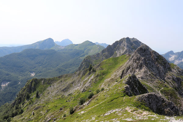 Toscana, Vagli Sotto, Alpi Apuane, 18.6.2023
Passo della Tambura - Monte Tambura.
Mots-clés: Toscana Vagli Sotto Alpi Apuane Monte Tambura Anostirus marginatus