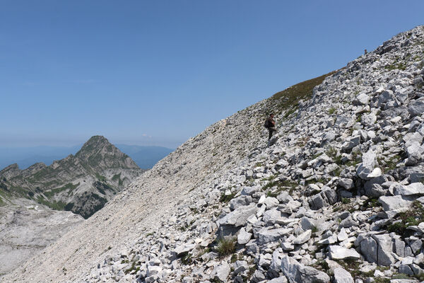 Toscana, Vagli Sotto, Alpi Apuane, 18.6.2023
Monte Tambura.
Klíčová slova: Toscana Vagli Sotto Alpi Apuane Monte Tambura Anostirus marginatus Václav Dušánek