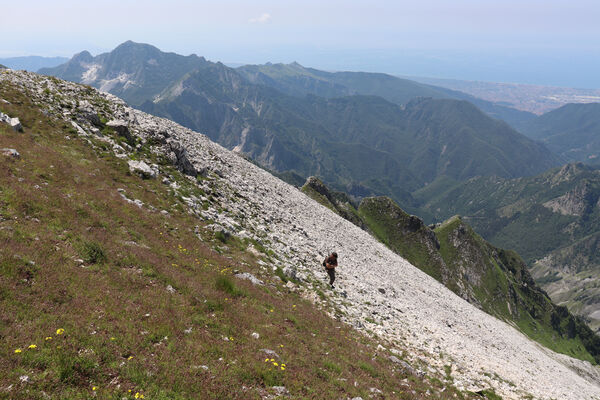 Toscana, Vagli Sotto, Alpi Apuane, 18.6.2023
Monte Tambura - typická lokalita kovaříka Anostirus marginatus.
Schlüsselwörter: Toscana Vagli Sotto Alpi Apuane Monte Tambura Anostirus marginatus platiai Václav Dušánek