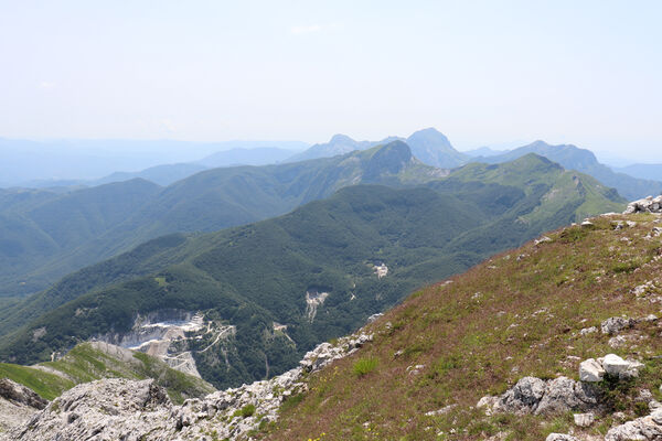 Toscana, Vagli Sotto, Alpi Apuane, 18.6.2023
Pohled z Monte Tambura.
Klíčová slova: Toscana Vagli Sotto Alpi Apuane Monte Tambura Anostirus marginatus