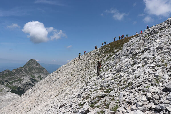 Toscana, Vagli Sotto, Alpi Apuane, 18.6.2023
Monte Tambura - typická lokalita kovaříka Anostirus marginatus.
Klíčová slova: Toscana Vagli Sotto Alpi Apuane Monte Tambura Anostirus marginatus platiai Václav Dušánek