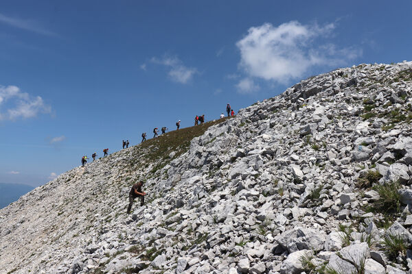 Toscana, Vagli Sotto, Alpi Apuane, 18.6.2023
Monte Tambura - typická lokalita kovaříka Anostirus marginatus.
Mots-clés: Toscana Vagli Sotto Alpi Apuane Monte Tambura Anostirus marginatus platiai Václav Dušánek