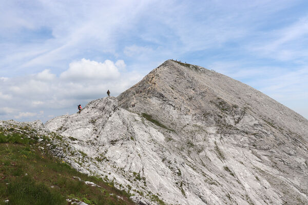 Toscana, Vagli Sotto, Alpi Apuane, 18.6.2023
Monte Tambura (1895 m) z Monte Crispo.
Klíčová slova: Toscana Vagli Sotto Alpi Apuane Monte Tambura Anostirus marginatus platiai