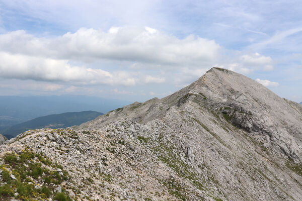 Toscana, Vagli Sotto, Alpi Apuane, 18.6.2023
Monte Tambura (1895 m) z Monte Crispo.
Keywords: Toscana Vagli Sotto Alpi Apuane Monte Tambura Anostirus marginatus platiai