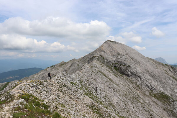 Toscana, Vagli Sotto, Alpi Apuane, 18.6.2023
Monte Tambura (1895 m) z Monte Crispo.
Mots-clés: Toscana Vagli Sotto Alpi Apuane Monte Tambura Anostirus marginatus