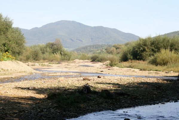 Tarnov - Sveržov, 17.9.2014
Meandry Kamence - vybagrováno.



Klíčová slova: Tarnov Sveržov řeka Kamenec