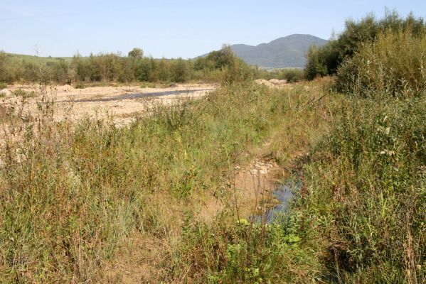 Tarnov - Sveržov, 17.9.2014
Meandry Kamence - bahnitý náplav.
Klíčová slova: Tarnov Sveržov řeka Kamenec