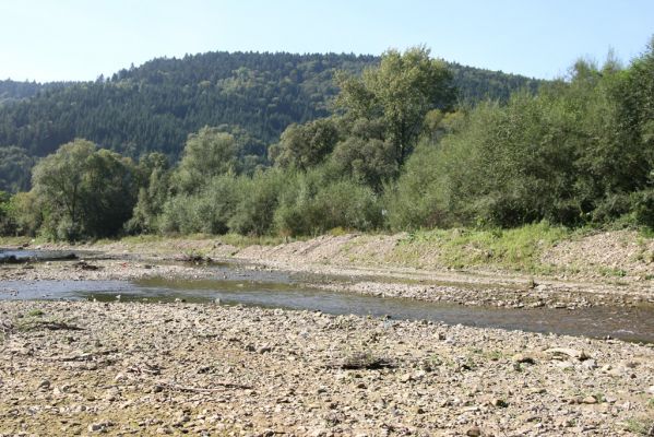 Tarnov - Sveržov, 17.9.2014
Meandry Kamence - vybagrováno.



Schlüsselwörter: Tarnov Sveržov řeka Kamenec