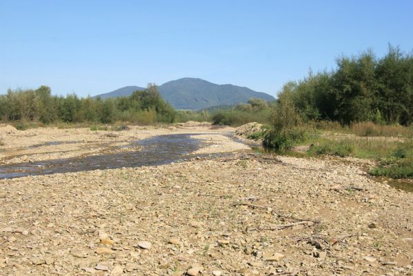 Tarnov - Sveržov, 17.9.2014
Meandry Kamence - vybagrováno.



Klíčová slova: Tarnov Sveržov řeka Kamenec