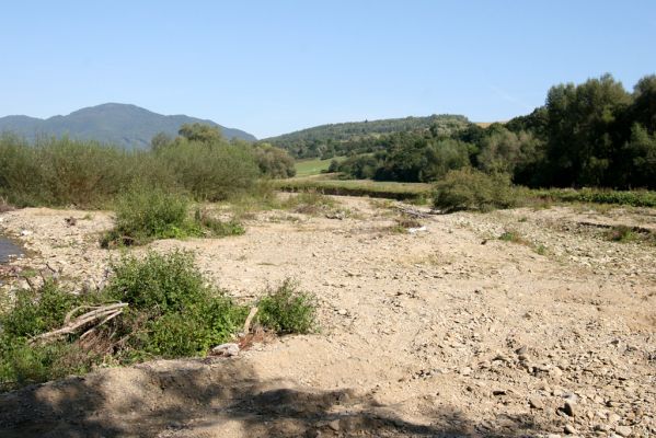 Tarnov - Sveržov, 17.9.2014
Meandry Kamence.



Klíčová slova: Tarnov Sveržov řeka Kamenec Zorochros dermestoides meridionalis