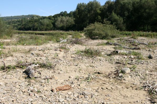 Tarnov - Sveržov, 17.9.2014
Meandry Kamence.



Klíčová slova: Tarnov Sveržov řeka Kamenec Zorochros dermestoides meridionalis