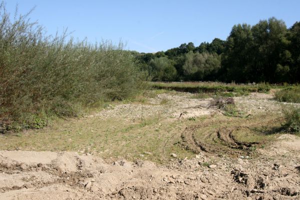 Tarnov - Sveržov, 17.9.2014
Meandry Kamence - bahnitý náplav.


Klíčová slova: Tarnov Sveržov řeka Kamenec