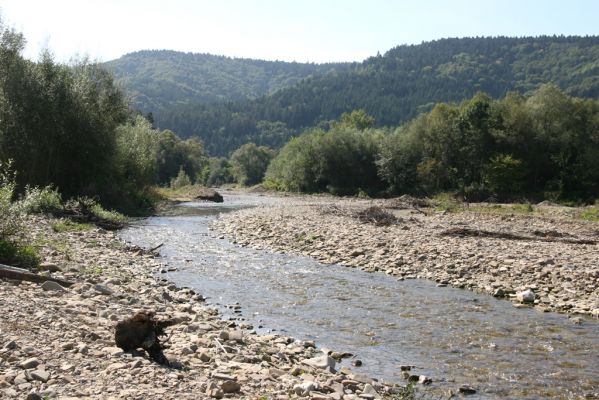 Tarnov - Sveržov, 17.9.2014
Meandry Kamence.


Klíčová slova: Tarnov Sveržov řeka Kamenec