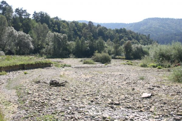 Tarnov - Sveržov, 17.9.2014
Meandry Kamence.



Keywords: Tarnov Sveržov řeka Kamenec Zorochros dermestoides meridionalis