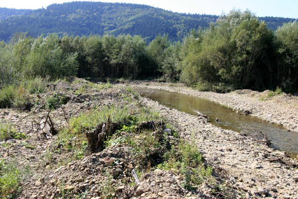 Tarnov - Sveržov, 17.9.2014
Zregulovaný tok Kamence.


Klíčová slova: Tarnov Sveržov řeka Kamenec