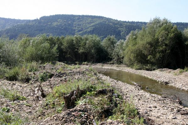 Tarnov - Sveržov, 17.9.2014
Zregulovaný tok Kamence.


Klíčová slova: Tarnov Sveržov řeka Kamenec