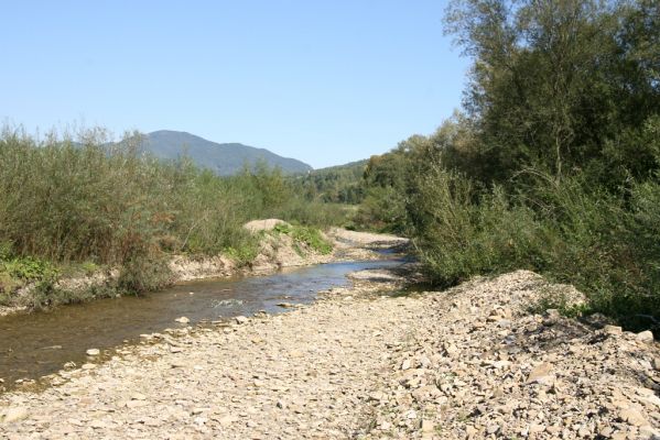 Tarnov - Sveržov, 17.9.2014
Zregulovaný tok Kamence.



Schlüsselwörter: Tarnov Sveržov řeka Kamenec