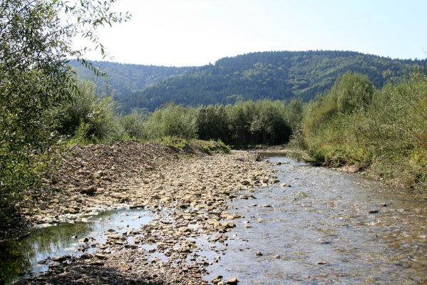 Tarnov - Sveržov, 17.9.2014
Zregulovaný tok Kamence.



Klíčová slova: Tarnov Sveržov řeka Kamenec