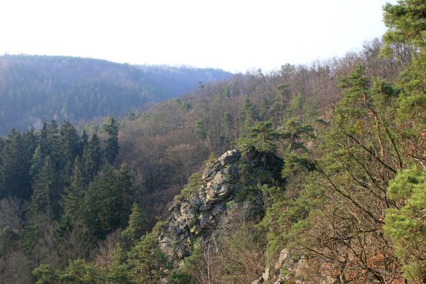 Tavíkovice, 14.3.2007
Údolí Rokytné mezi Tavíkovicemi a Bendovým Mlýnem.
Klíčová slova: Tavíkovice Rokytná