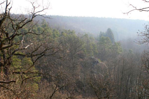 Tavíkovice, 14.3.2007
Údolí Rokytné mezi Tavíkovicemi a Bendovým Mlýnem.
Klíčová slova: Tavíkovice Rokytná