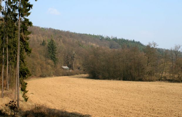 Tavíkovice, 14.3.2007
Jižní svahy údolínad Rokytnou u Nového Mlýna. Pohled na lesostep se starými duby.
Mots-clés: Tavíkovice Rokytná