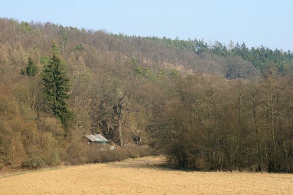 Tavíkovice, 14.3.2007
Jižní svahy údolínad Rokytnou u Nového Mlýna. Pohled na lesostep se starými duby.
Schlüsselwörter: Tavíkovice Rokytná