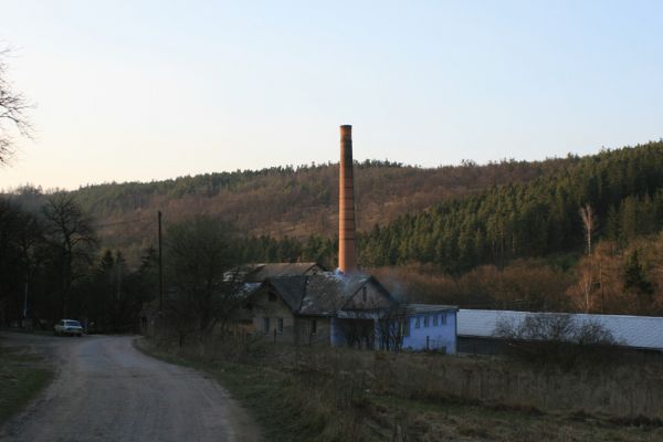 Tavíkovice, 14.3.2007
Jižní svahy údolí nad Rokytnou u Nového Mlýna. Pohled na lesostep se starými duby, obklopenou pásy jehličnatých plantáží (Loc: 49°2'28.99"N, 16°6'22.689"E). Přežije? 
Schlüsselwörter: Tavíkovice Rokytná Cardiophorus gramineus erichsoni Quasimus minutissimus Ischnodes sanguinicollis