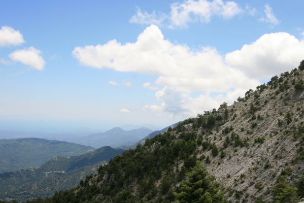 Greece, distr. Lakonía, Taigetos Mts., 11.6.2016
Refugio Katafilio - Profitis Ilias, 1950m. South.
Mots-clés: Greece distr. Lakonía Taigetos Mts. refugio Katafilio Profitis Ilias