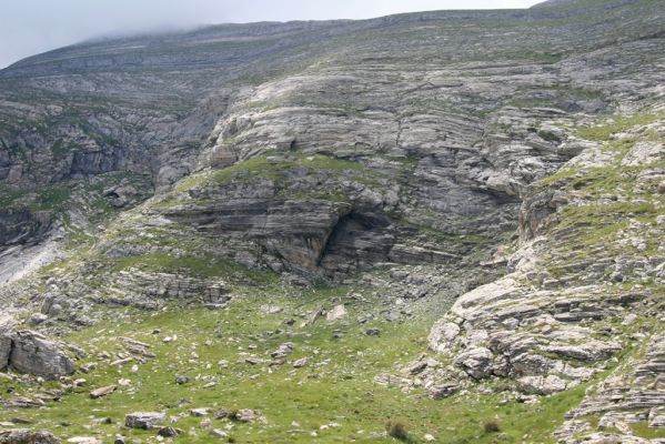 Greece, distr. Lakonía, Taigetos Mts., 11.6.2016
Refugio Katafilio - Profitis Ilias, 1950m.
Mots-clés: Greece distr. Lakonía Taigetos Mts. refugio Katafilio Profitis Ilias