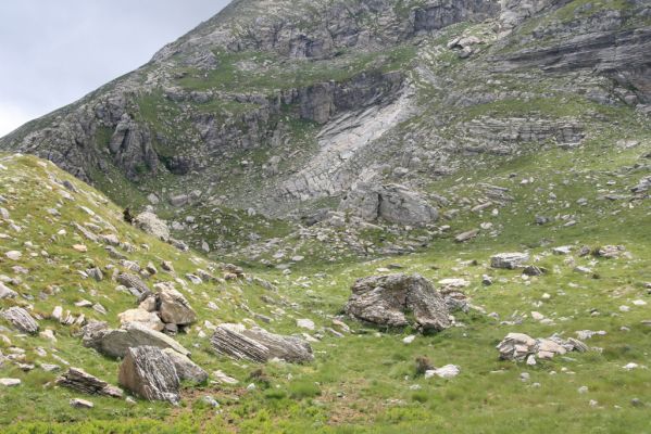 Greece, distr. Lakonía, Taigetos Mts., 11.6.2016
Refugio Katafilio - Profitis Ilias, 1950m.
Schlüsselwörter: Greece distr. Lakonía Taigetos Mts. refugio Katafilio Profitis Ilias