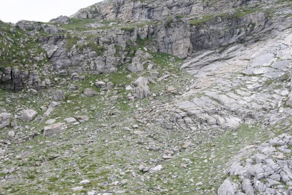 Greece, distr. Lakonía, Taigetos Mts., 11.6.2016
Refugio Katafilio - Profitis Ilias, 1950-2020m. Biotope of Dima hirtipennis.
Keywords: Greece distr. Lakonía Taigetos Mts. refugio Katafilio Profitis Ilias Dima hirtipennis