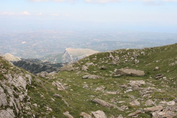 Greece, distr. Lakonía, Taigetos Mts., 11.6.2016
Refugio Katafilio - Profitis Ilias, 1870m. Biotope of Dima hirtipennis.
Schlüsselwörter: Greece distr. Lakonía Taigetos Mts. refugio Katafilio Profitis Ilias Dima hirtipennis