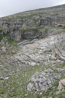 Greece, distr. Lakonía, Taigetos Mts., 11.6.2016
Refugio Katafilio - Profitis Ilias, 1970-2020m. Biotope of Dima hirtipennis.
Schlüsselwörter: Greece distr. Lakonía Taigetos Mts. refugio Katafilio Profitis Ilias Dima hirtipennis