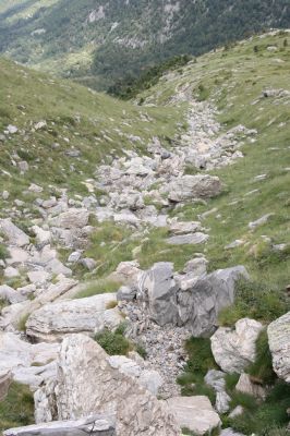 Greece, distr. Lakonía, Taigetos Mts., 11.6.2016
Refugio Katafilio - Profitis Ilias, 1830m. Biotope of Dima hirtipennis.
Keywords: Greece distr. Lakonía Taigetos Mts. refugio Katafilio Profitis Ilias Dima hirtipennis