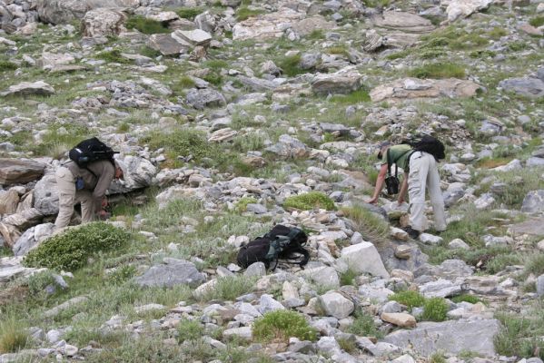 Greece, distr. Lakonía, Taigetos Mts., 11.6.2016
Refugio Katafilio - Profitis Ilias, 1930m. Biotope of Dima hirtipennis.
Mots-clés: Greece distr. Lakonía Taigetos Mts. refugio Katafilio Profitis Ilias Dima hirtipennis Petr Brůha Bořivoj Zbuzek