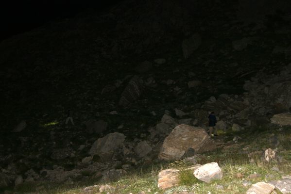 Greece, distr. Lakonía, Taigetos Mts., 11.6.2016
Refugio Katafilio - Profitis Ilias, 1830-2020m. Biotope of Dima hirtipennis in night.
Keywords: Greece distr. Lakonía Taigetos Mts. refugio Katafilio Profitis Ilias Dima hirtipennis