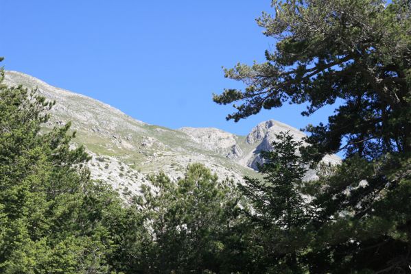 Greece, distr. Lakonía, Taigetos Mts., 11.6.2016
Refugio Katafilio env. - road to Profitis Ilias.
Mots-clés: Greece distr. Lakonía Taigetos Mts. refugio Katafilio Profitis Ilias