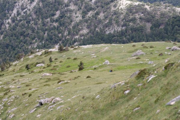 Greece, distr. Lakonía, Taigetos Mts., 11.6.2016
Refugio Katafilio - Profitis Ilias, 1700m.
Keywords: Greece distr. Lakonía Taigetos Mts. refugio Katafilio Profitis Ilias Robert W Borek Pardiak