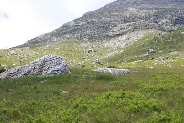 Greece, distr. Lakonía, Taigetos Mts., 11.6.2016
Refugio Katafilio - Profitis Ilias, 1950m.
Schlüsselwörter: Greece distr. Lakonía Taigetos Mts. refugio Katafilio Profitis Ilias