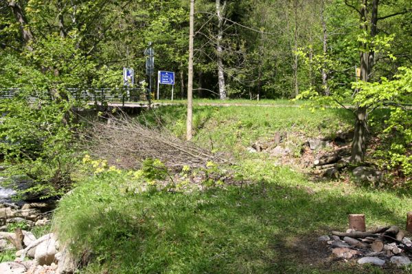 Krkonoše, Temný Důl, 25.5.2010
Rybárna - soutok Úp. Biotop kovaříka Selatosomus cruciatus.
Klíčová slova: Krkonoše Temný Důl Úpa Selatosomus cruciatus