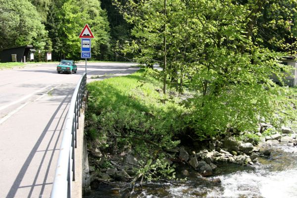 Krkonoše, Temný Důl, 25.5.2010
Rybárna - soutok Úp.
Klíčová slova: Krkonoše Temný Důl Úpa Selatosomus cruciatus