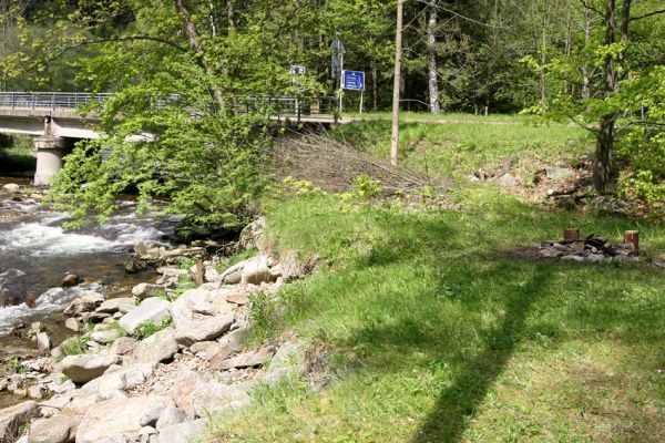 Krkonoše, Temný Důl, 25.5.2010
Rybárna - soutok Úp. Biotop kovaříka Selatosomus cruciatus.
Klíčová slova: Krkonoše Temný Důl Úpa Selatosomus cruciatus