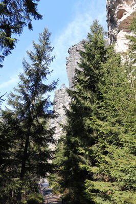 Teplice nad Metují, 14.3.2022
Teplické skály.
Klíčová slova: Teplice nad Metují Adršpašsko-teplické skály
